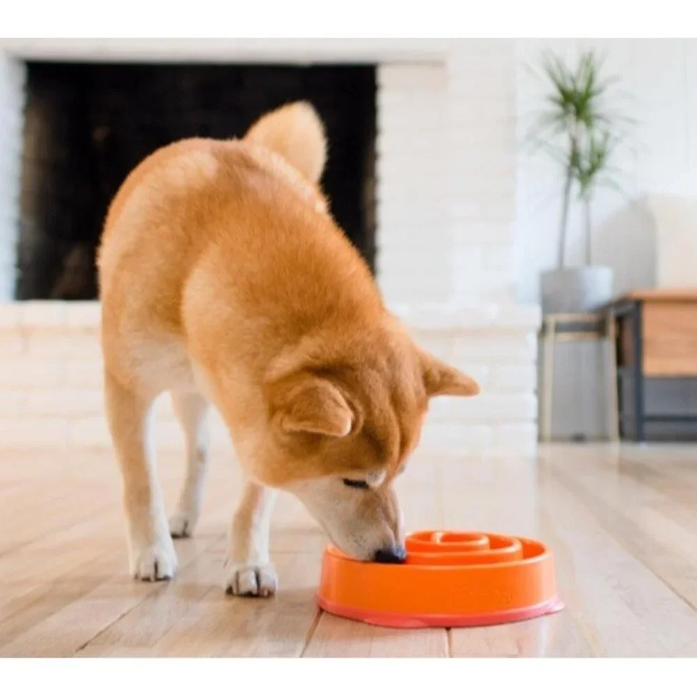 Outward Hound Slo (Slow) Fun Feeder Dog Bowl, Set of 2 Medium Turquoise/Orange